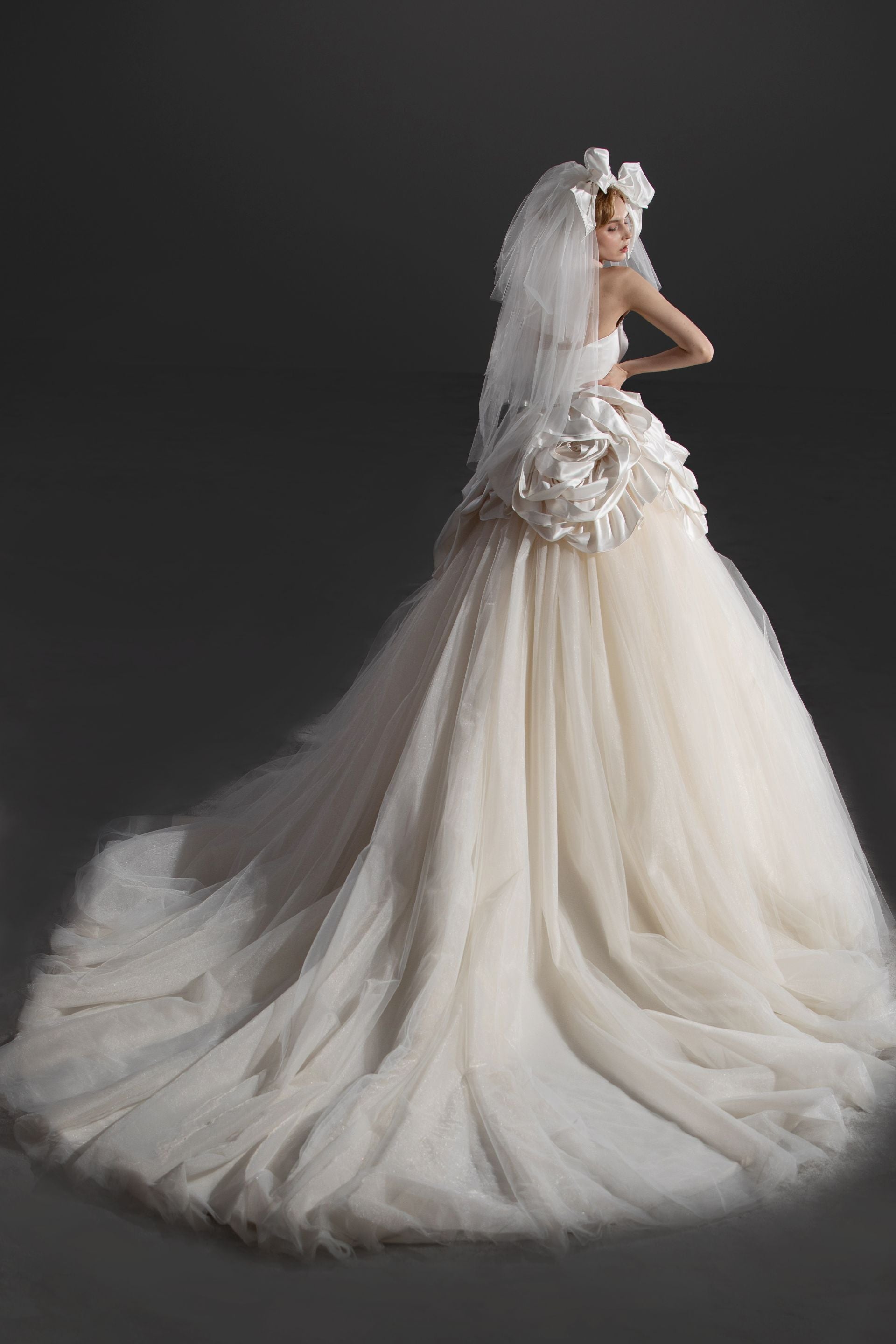 Luxus Ballkleid Brautkleid LWD24110